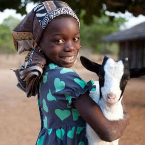 Goat Goat