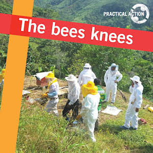 The Bees Knees The Bees Knees