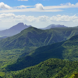 Save Wildlife In Madagascar & The Mascarenes Save Wildlife In Madagascar & The Mascarenes