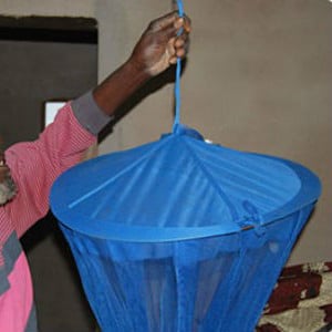 Mosquito Net Mosquito Net