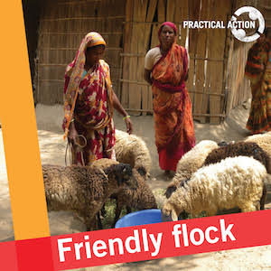 Friendly Flock Friendly Flock