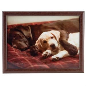 Chocolate and Yellow Lab Lap Tray Chocolate and Yellow Lab Lap Tray
