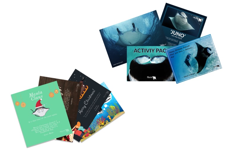 Adopt a Manta – Rudolph